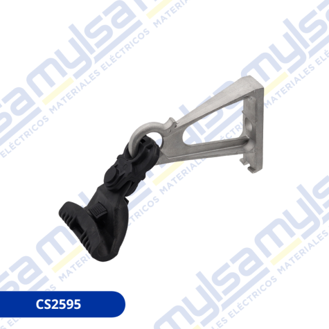 CS2595